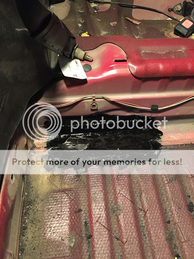 [Image: 1st%20Coat_zpsiypprgdu.jpg]