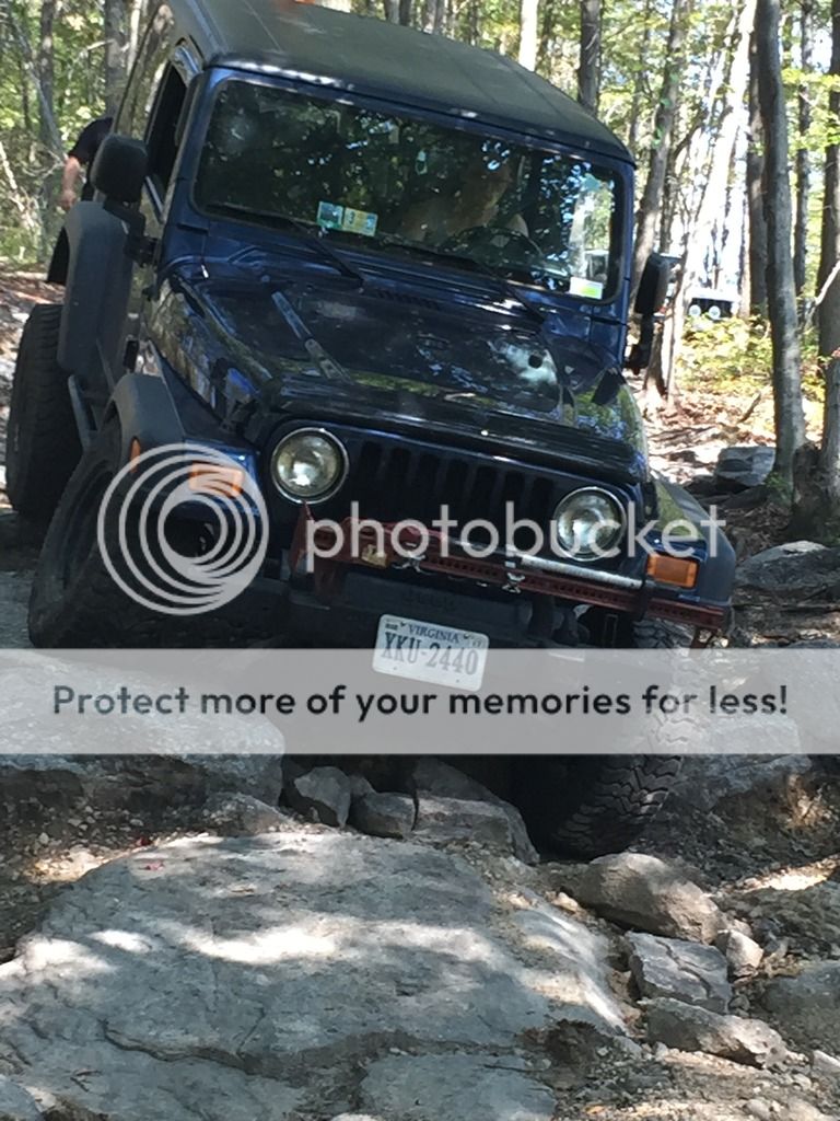 [Image: IMG_2139_zpsu2btfp10.jpg]