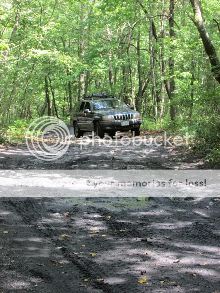 [Image: IMG_0013_zps9b5b7dd6.jpg]