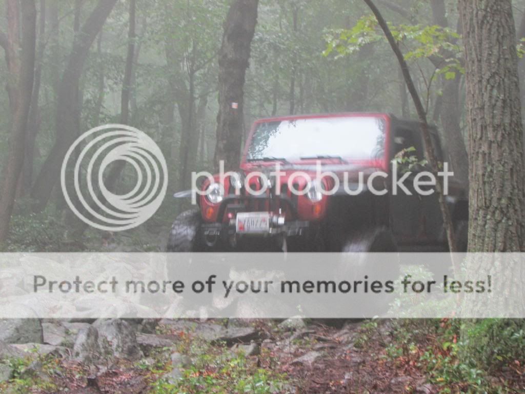 [Image: IMG_0139_zps8ae36107.jpg]