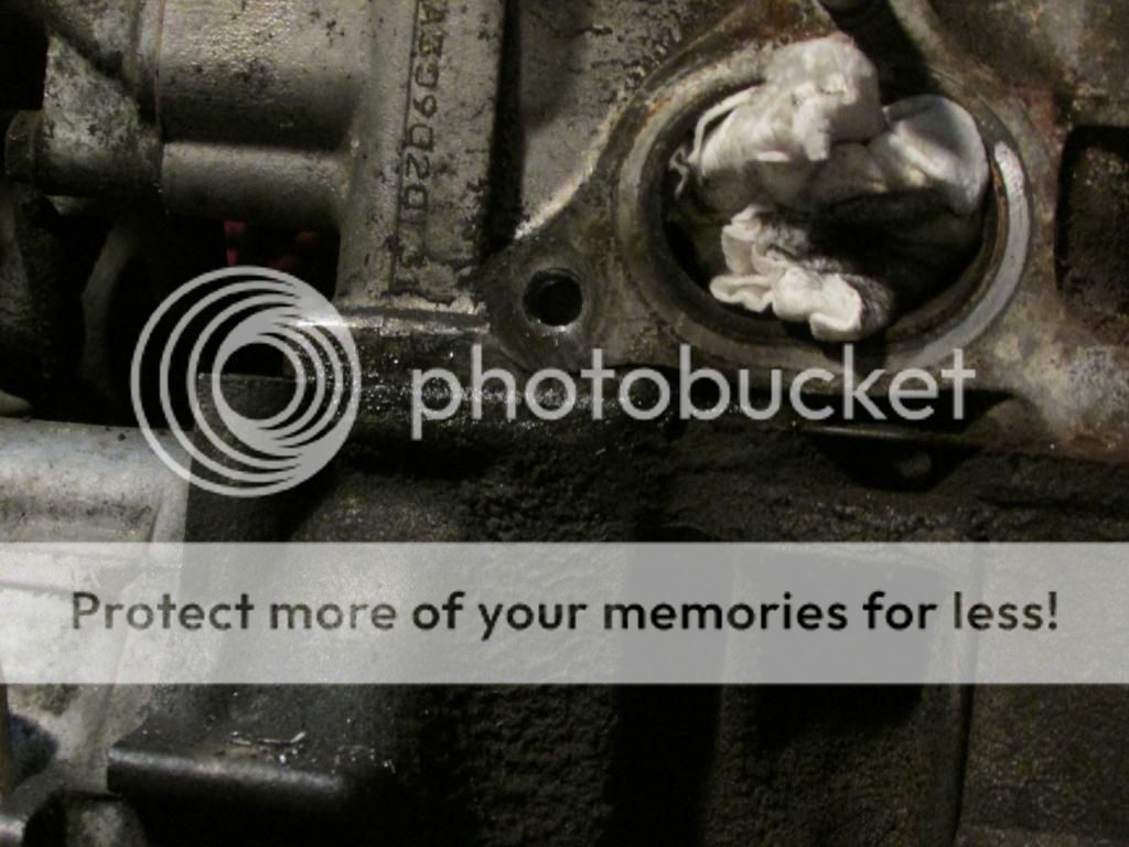 [Image: IMG_0915_zps5502b88d.jpg]