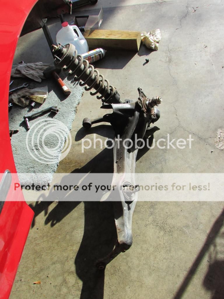 [Image: IMG_0976_zps45c36bea.jpg]