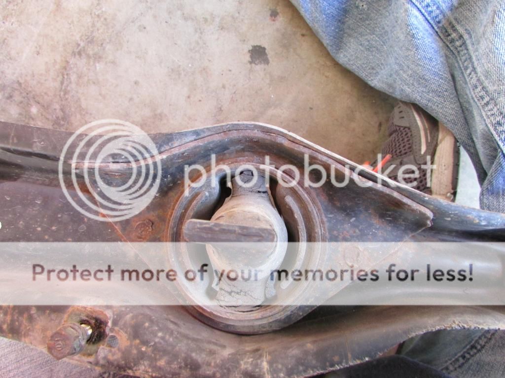 [Image: IMG_0978_zpsf2d7c3ab.jpg]