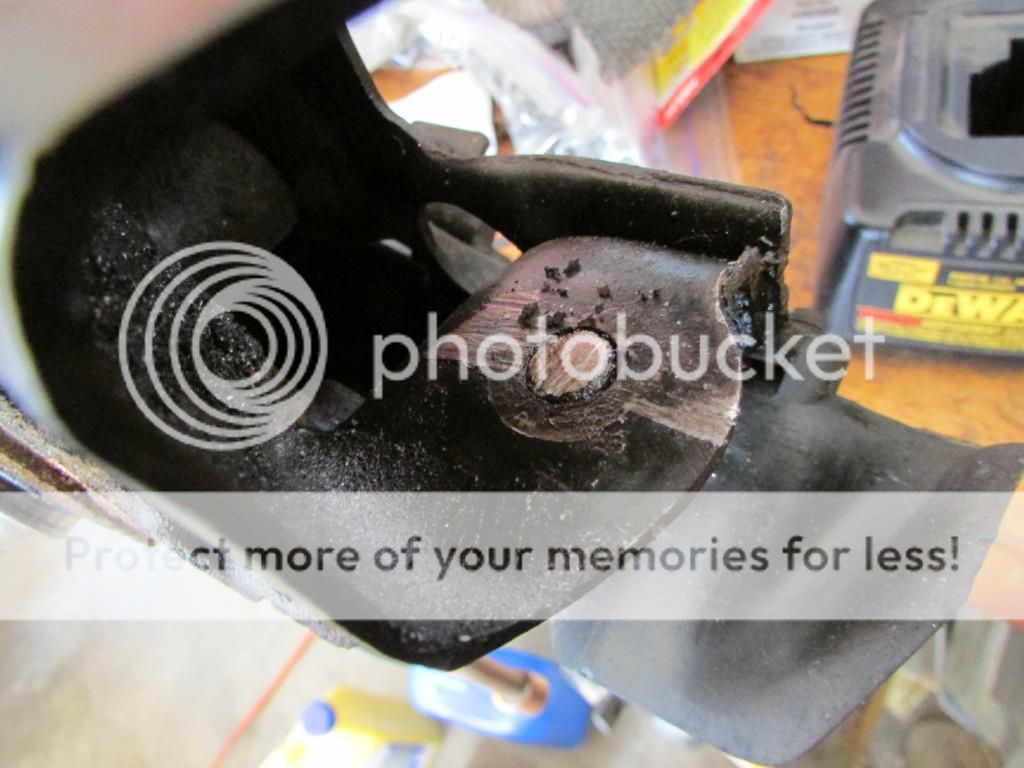 [Image: IMG_0980_zps8d9f23b5.jpg]