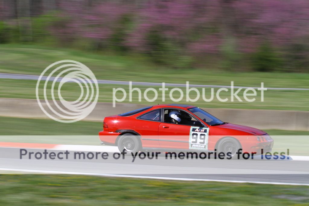 [Image: IMG_2092_zpsw9dirczz.jpg]