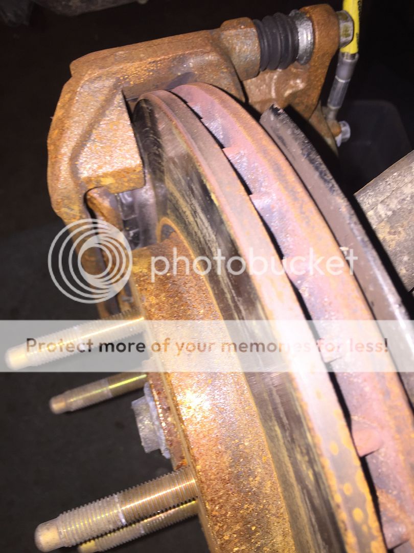 [Image: IMG_2261_zpskqrizpmq.jpg]