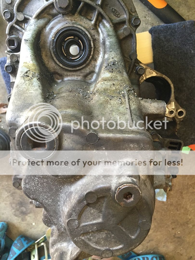 [Image: IMG_2390_zpskerlb6ru.jpg]