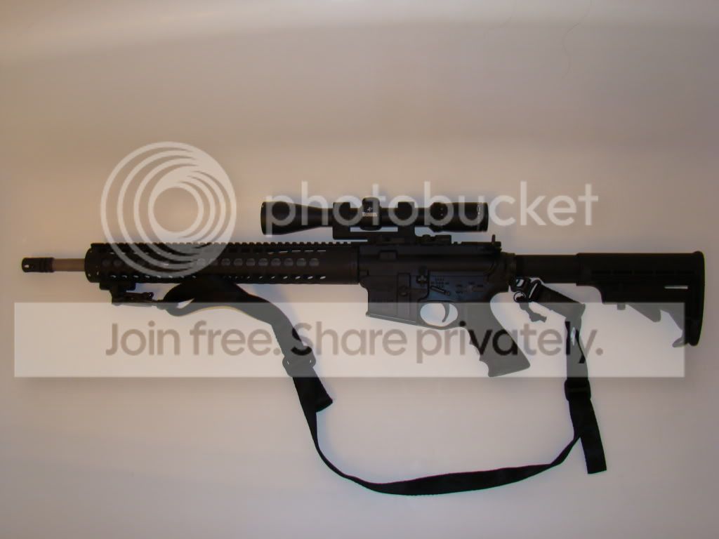 [Image: WholeLeft.jpg]