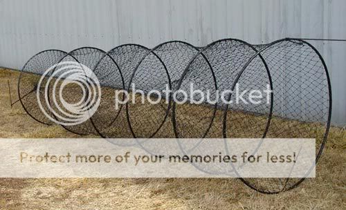 hoop or fyke net