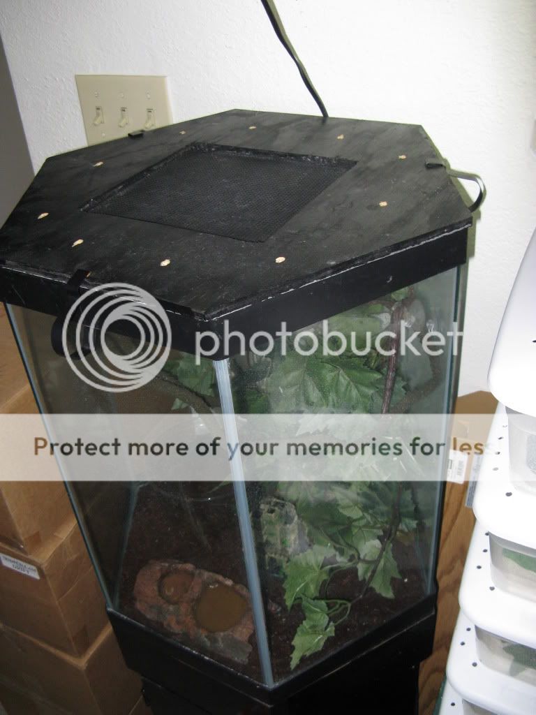 20 gal Hexagon tank lid